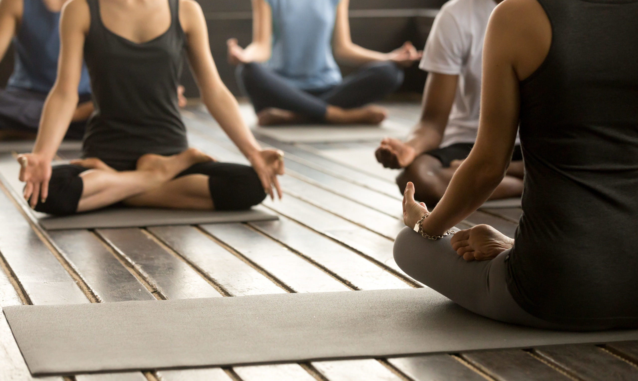 Group of young sporty people practicing yoga lesson with instructor, sitting in Sukhasana exercise, Easy Seat pose, working out, students training in sport club, studio close up, back view